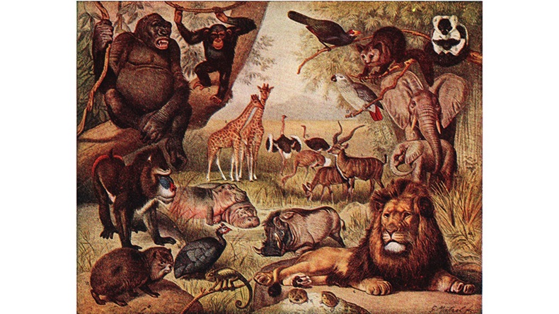 ‘The Web of Sustenance’ and Other Poetry by C.B. Anderson