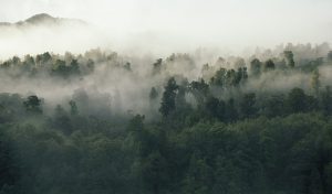 ‘Observation’: A Poem by Margaret Brinton