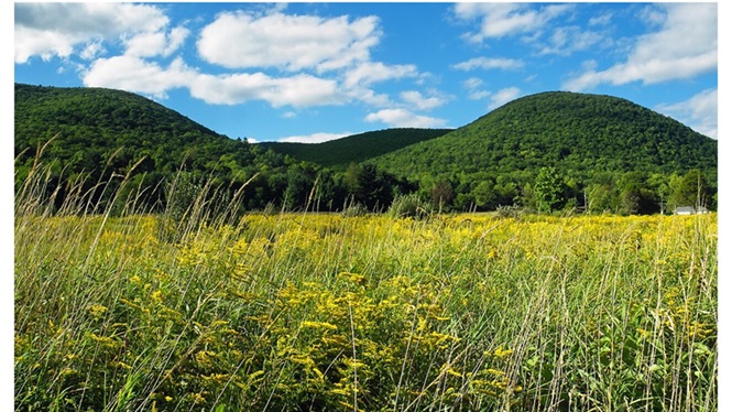 ‘To September’ and Other Autumn Poems by Adam Sedia