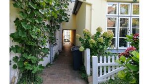 'Time For Some Gardening': A Poem by Bruce Dale Wise 3 ‘Time For Some Gardening’: A Poem by Bruce Dale Wise