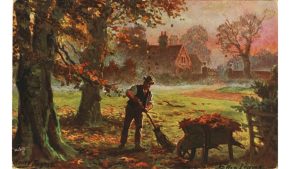‘Raking Leaves’: A Poem by Cheryl Corey