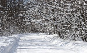 'Forecast One to Two Inches' and Other Poetry by Jeffrey Essmann 3 ‘After the Snow’: A Poem by Steven Frattali