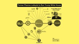 A Poem on Trump Making Susan Wiles Chief of Staff, by Susan Jarvis Bryant