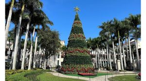 ‘Christmas in Florida’: A Poem by Brian Yapko