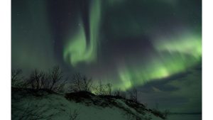 ‘December 31’: A New Year’s Poem and Other Poetry by Adam Sedia
