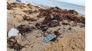 'Dragons Lost at Sea': A Poem by Isabella Simmonds 3 ‘Dragons Lost at Sea’: A Poem by Isabella Simmonds