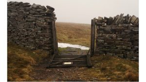‘True Love’: A Poem by Roger Crane