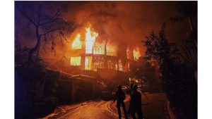 Disaster Sonnets by Margaret Coats