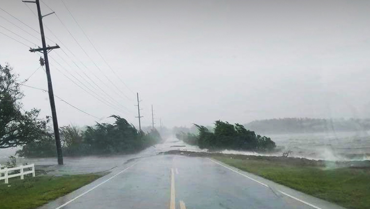 Hurricane Poems: ‘The Genesis Wind’ and Other Poetry by Brian Yapko