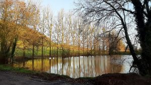 ‘Winter at the Pond’: A Poem by Bhikkhu Nyanasobhano
