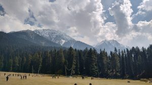 A Poem on the Kashmir Terrorist Attack, by Satyananda Sarangi