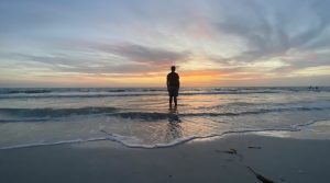 ‘Florida Beach Vacation 2025’: A Poem by Evan Mantyk