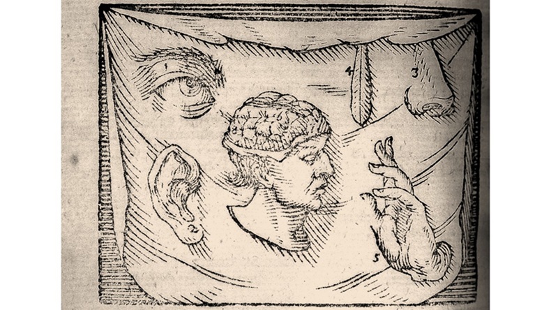 ‘Autism Sonnet’: A Poem by Theresa Werba