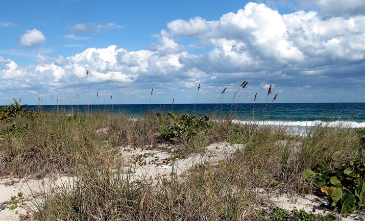 ‘Inklings’: A Poem by P.C. Venable