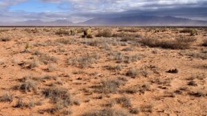 ‘Monsoon in the Jornada’: A Poem by Dan Tuton
