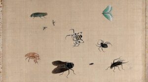 ‘A Sonnet upon a Most Ungrateful Gnat’: A Poem by Scharlie Meeuws