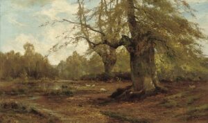 ‘Burnham Beeches’: A Poem by Andrew Moody