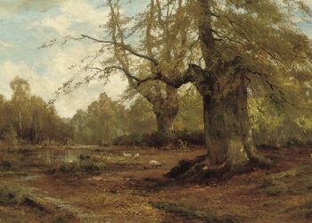 ‘Burnham Beeches’: A Poem by Andrew Moody
