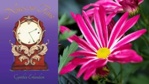 A Video Reading of ‘Late Bloomers’ by Cynthia Erlandson (SCP Symposium)