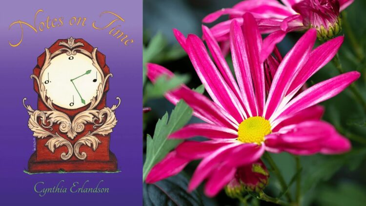 poems A Video Reading of ‘Late Bloomers’ by Cynthia Erlandson (SCP Symposium)