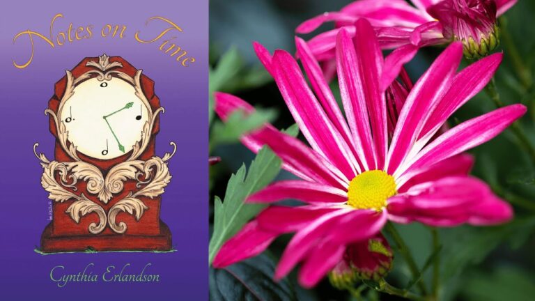 A Video Reading of ‘Late Bloomers’ by Cynthia Erlandson (SCP Symposium)