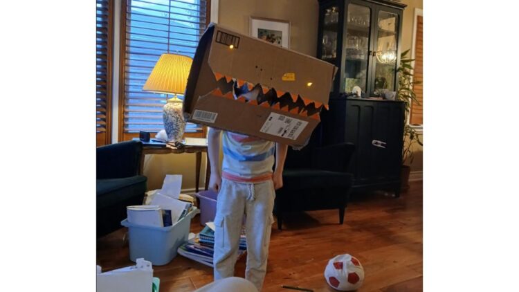 'Blooming Early or Late?' and Other Poetry by Julian Woodruff 1 cardboard creation photo by Julian Woodruff