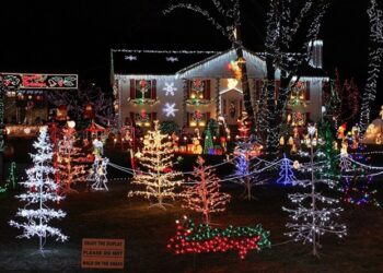 ‘The Decorator’: A Poem by Margaret Coats