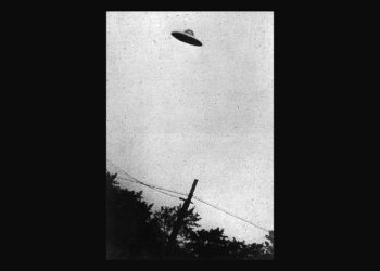 ‘Sensation’: A Poem by Bruce Dale Wise