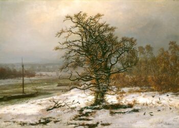 ‘The Oak Trees’: A Poem by Bhikkhu Nyanasobhano