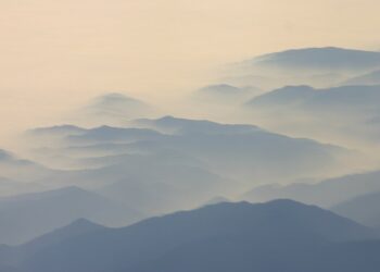 ‘Fog of Confusion’: A Poem by Margaret Brinton