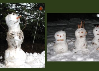 Snowmen Poems by Norma Pain