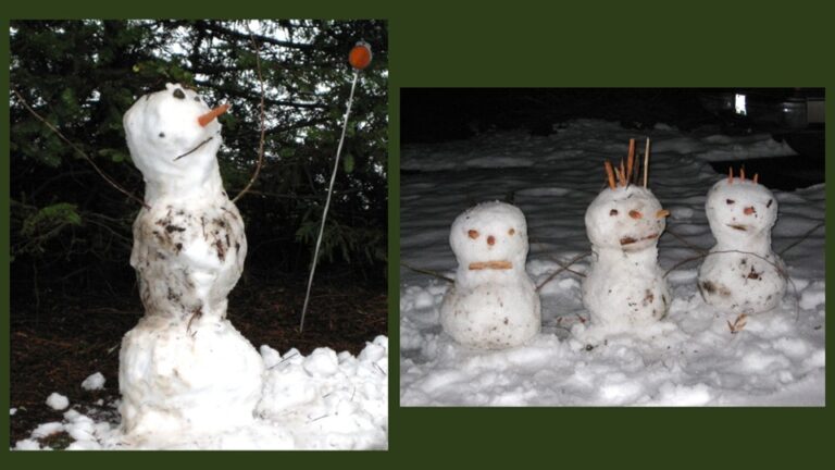 Snowmen Poems by Norma Pain