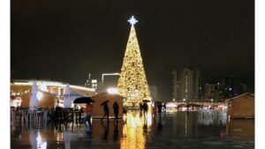 ‘Rain and Snow on Christmas Day’: A Poem by Lauren V. Leon