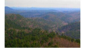 ‘Upon Hiking Eagle Rock Loop, Umpire, AR’: A Poem by D.R. Rainbolt