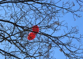 ‘A Poem for the Day After Valentine’s Day’ by Carey Jobe