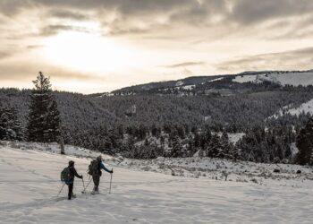 ‘Snowshoeing on a Winter Morning’: A Poem by Paul Buchheit