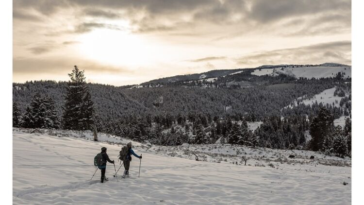 'Snowshoeing on a Winter Morning': A Poem by Paul Buchheit 1 photo of people snowshoeing at Yellowstone (NPS/ Jacob W. Frank)