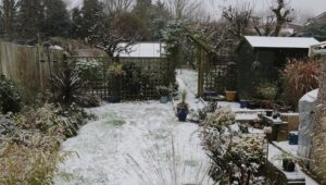 ‘Garden Goddess’: A Poem by Cheryl Corey