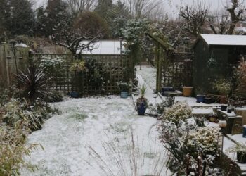 ‘Garden Goddess’: A Poem by Cheryl Corey
