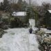 ‘Garden Goddess’: A Poem by Cheryl Corey