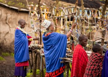 ‘Beauty Is a State of Mind’ and Other Poetry by Roy E. Peterson