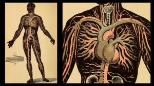 'Blood Miracle': A Poem by Jan Mennite 2 ‘Blood Miracle’: A Poem by Jan Mennite