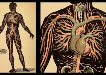 ‘Blood Miracle’: A Poem by Jan Mennite