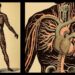 ‘Blood Miracle’: A Poem by Jan Mennite