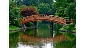 ‘The Teahouse Garden’: A Poem by Cheryl Corey
