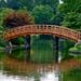 ‘The Teahouse Garden’: A Poem by Cheryl Corey