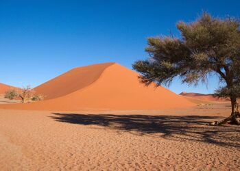 ‘The Dunes’: A Poem by Paul A. Freeman