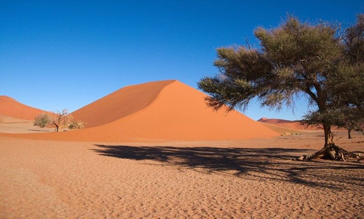 photo of a sand dune by Daniel Kraft