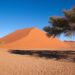 ‘The Dunes’: A Poem by Paul A. Freeman