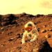 ‘The Cover-up’: A Space-Travel Poem by Mark Stellinga